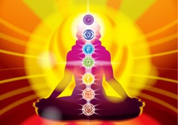 Ayurvedic priciples
